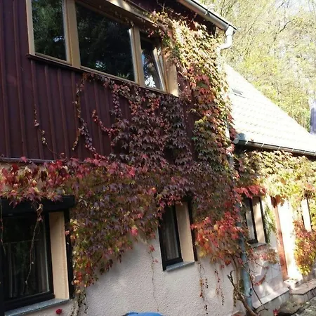 Bergnest *
